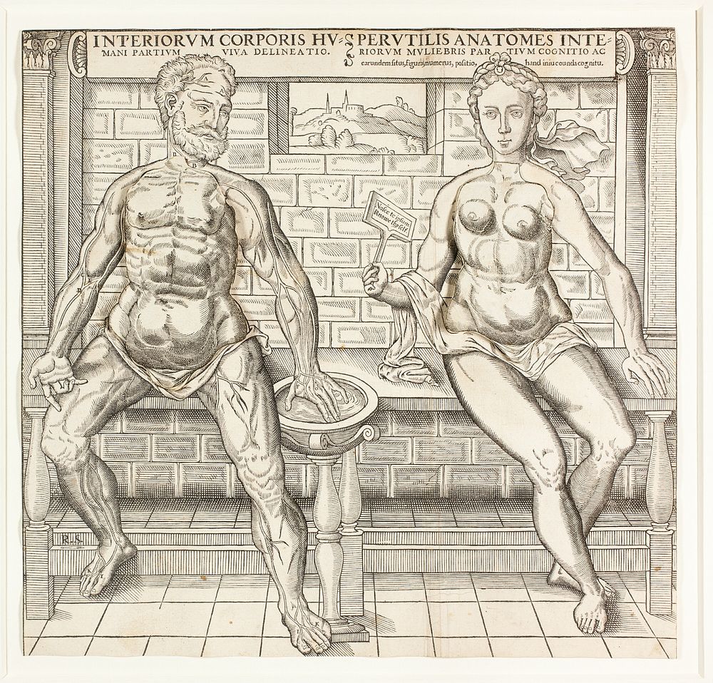 Interiorum corporis humani partium viva delineatio, from the second edition of the Compendiosa totius anatomie delineation…
