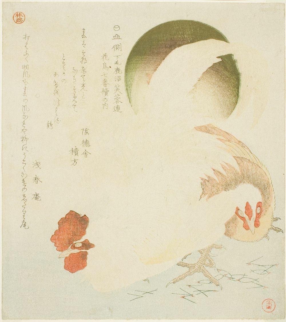 Cock, Hen, and Rising Sun, from the series "Seven Bird-and-flower Prints for the Fuyo Circle of Kanuma in Shimotsuke…
