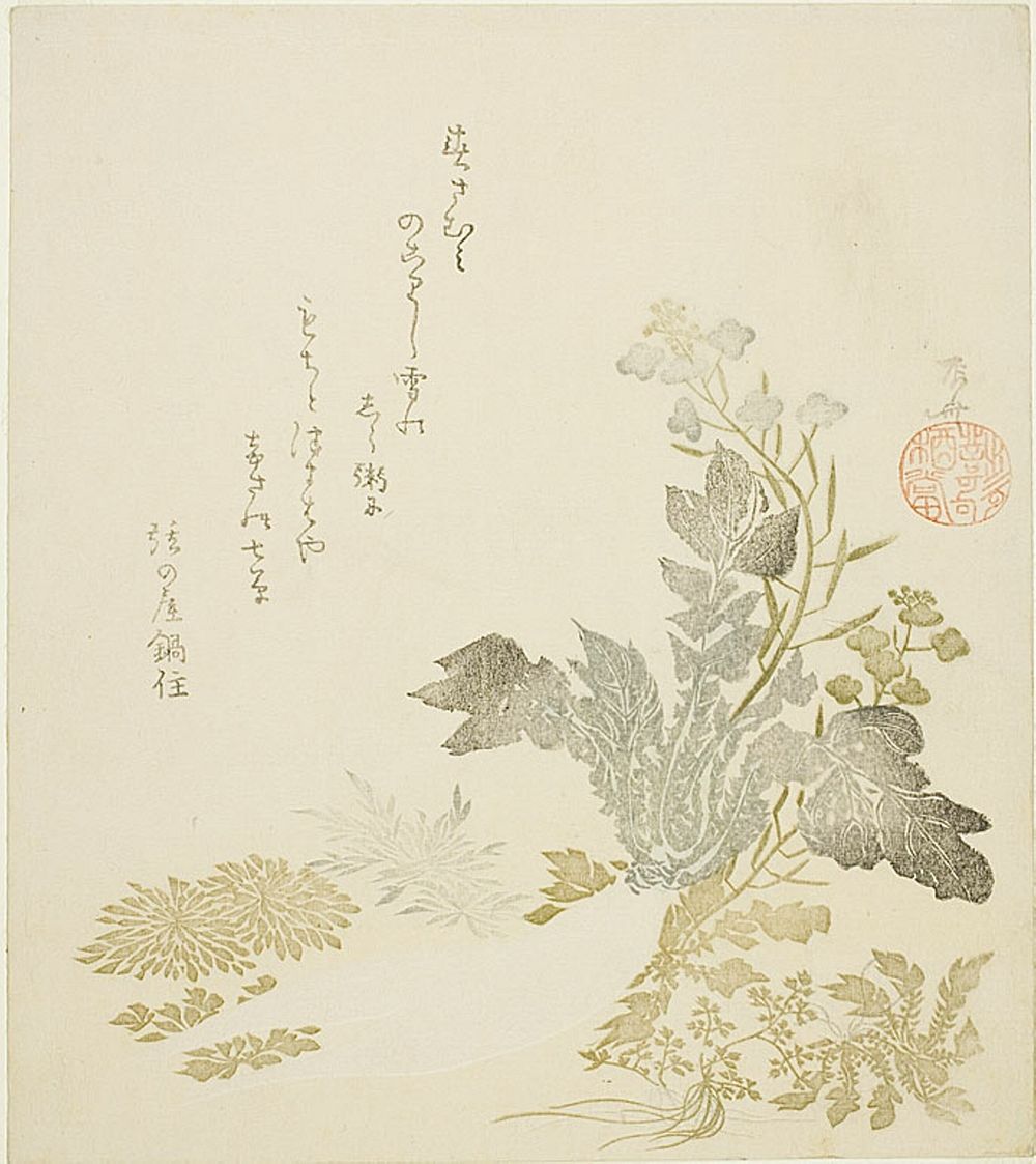 A Giant Radish (daikon), Chrysanthemums and Ferns by Ryuryukyo Shinsai