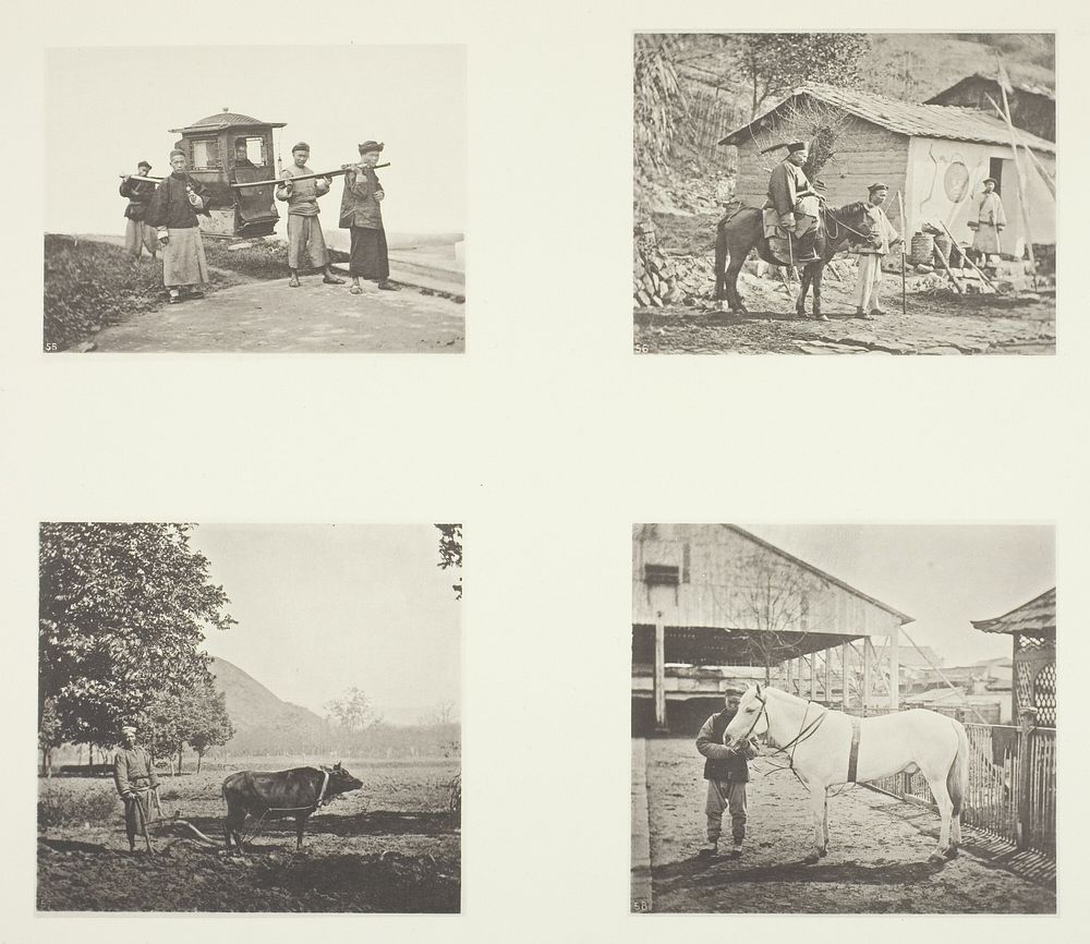 The Sedan; A Military Officer; The Plough; A North China Pony by John Thomson