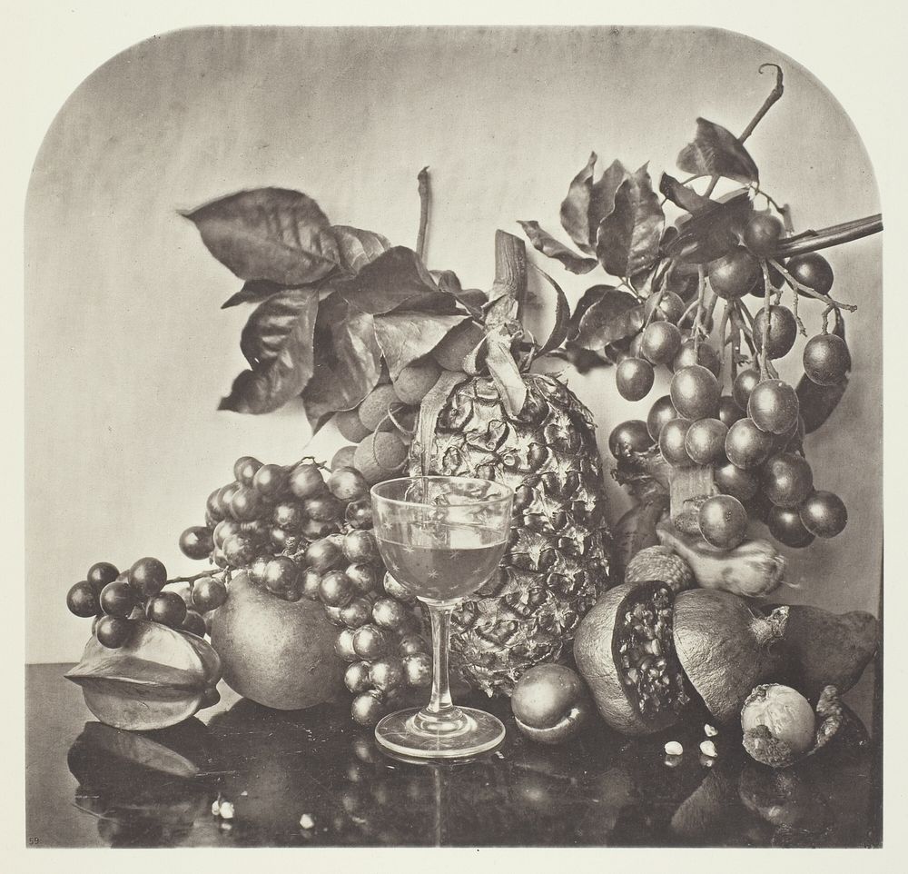 Fruit by John Thomson