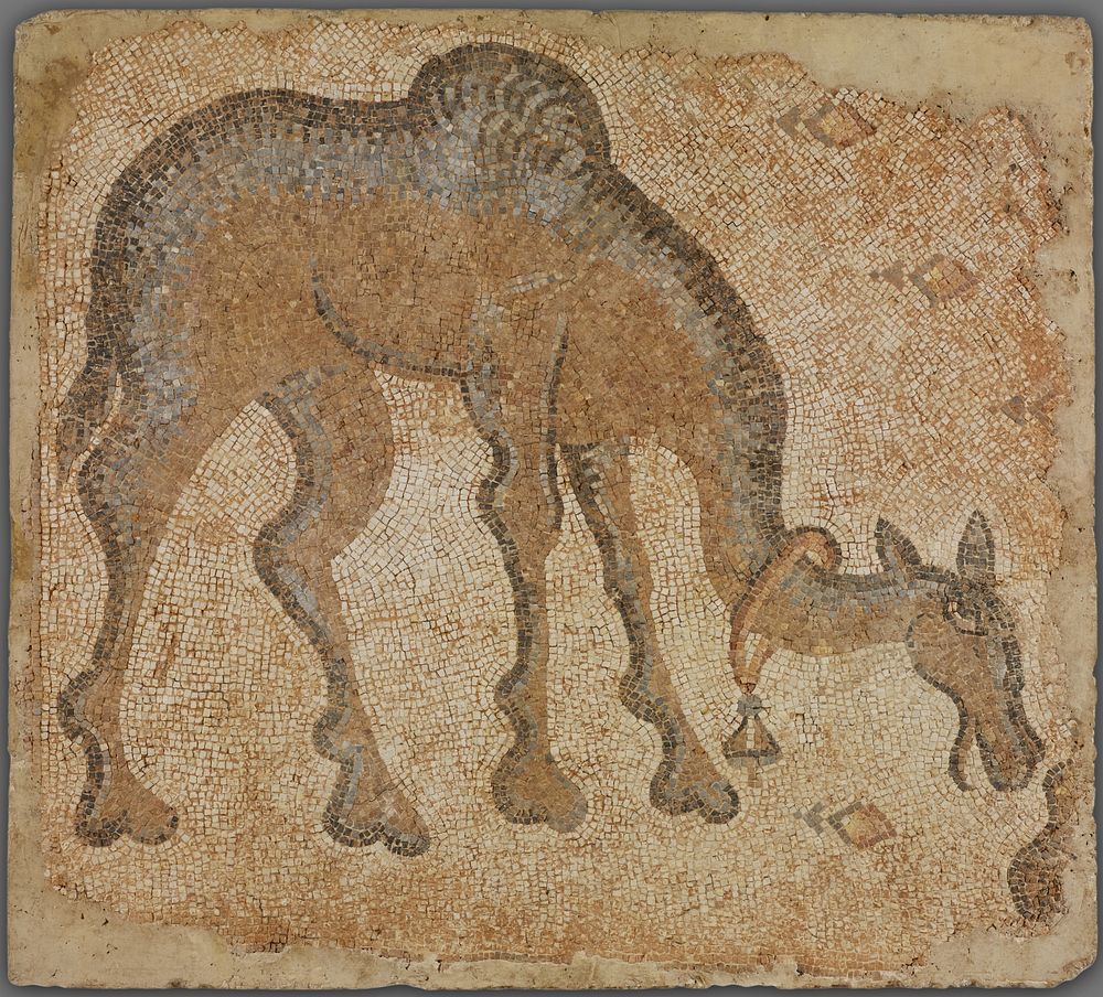 Mosaic Fragment with Grazing Camel by Byzantine