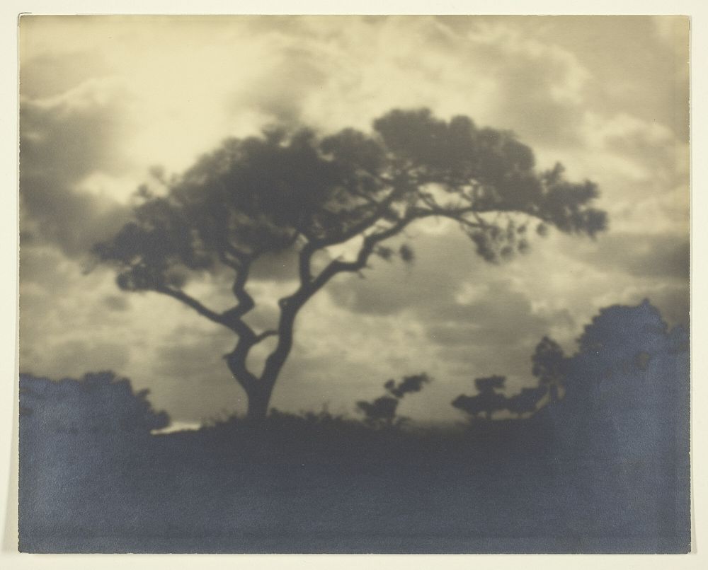 Untitled (Cloudy Landscape with Tree) by Unknown