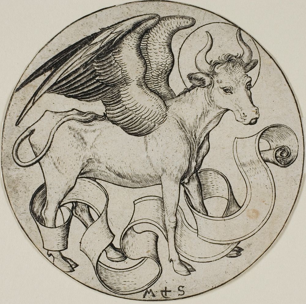 The Ox of St. Luke by Martin Schongauer