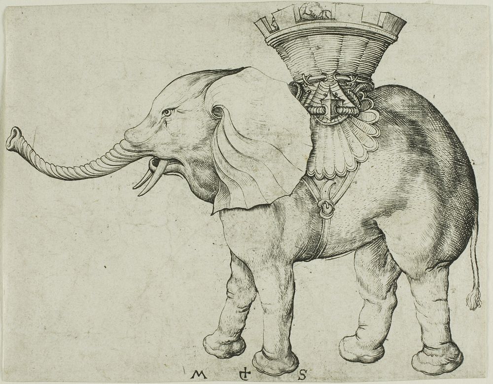 The Elephant by Martin Schongauer