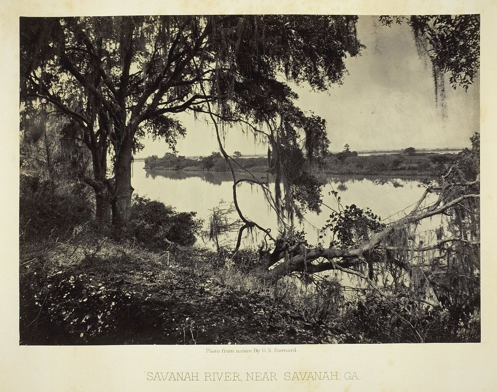 Savannah River, near Savannah, GA by George N. Barnard