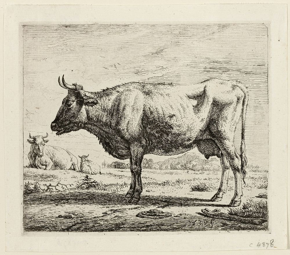 Two Cows and a Sheep by Adriaen van de Velde