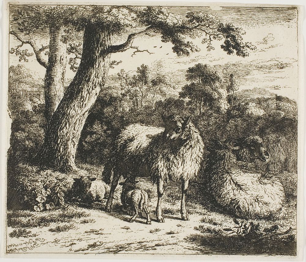Standing Sheep and Two Lambs by Jan van der Meer, the Younger