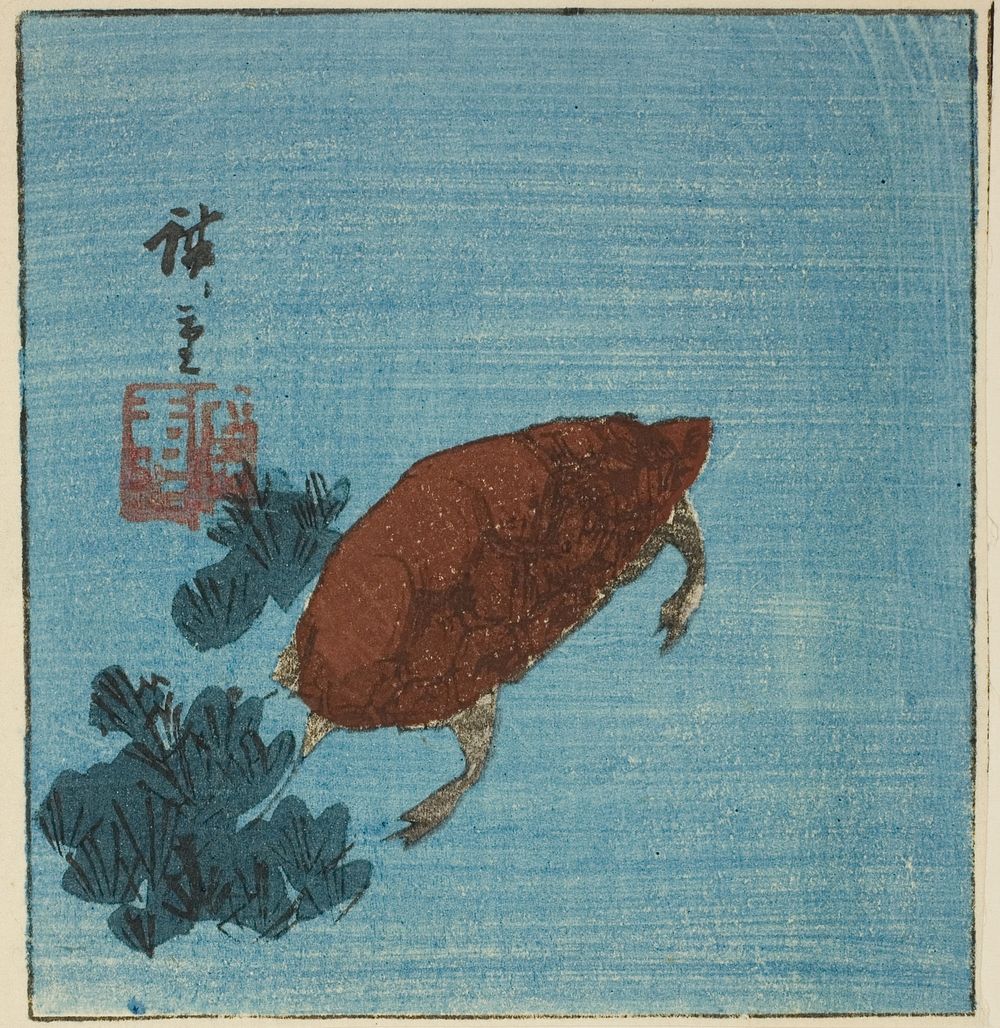 Turtle by Utagawa Hiroshige