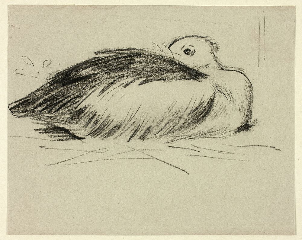 Sketch of Nesting Stork by Henry Stacy Marks