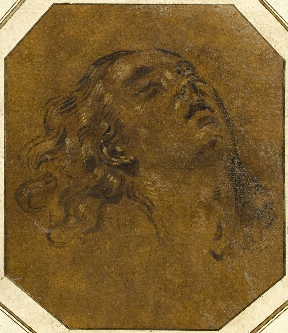 Female Head by Giovan Gioseffo dal Sole