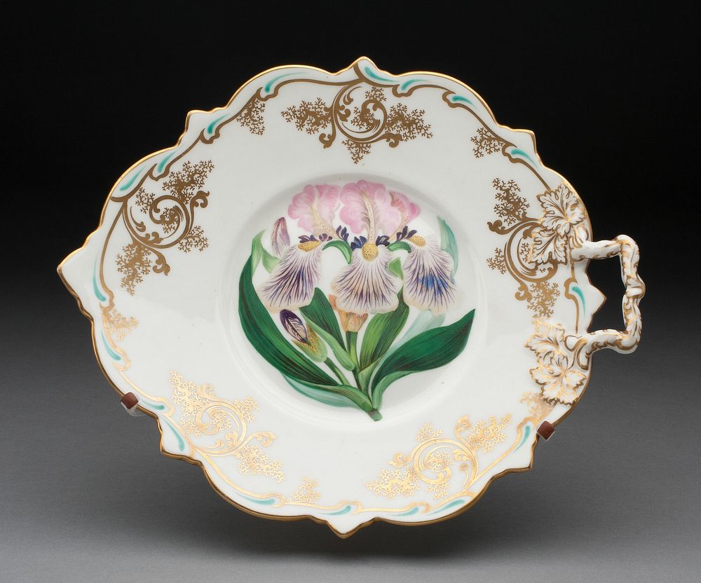 Dish by Spode Limited