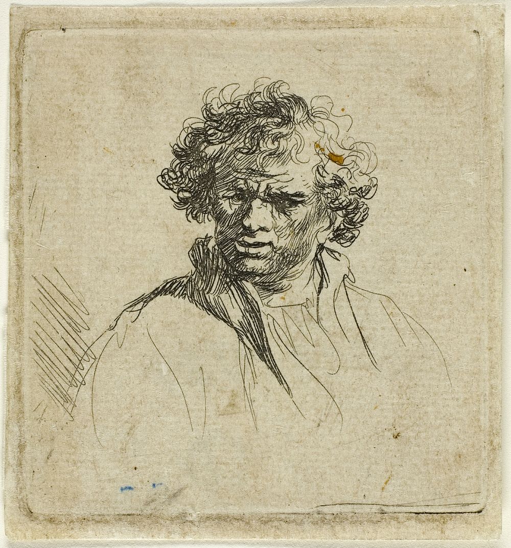 Curly Headed Man with a Wry Mouth by Ferdinand Bol