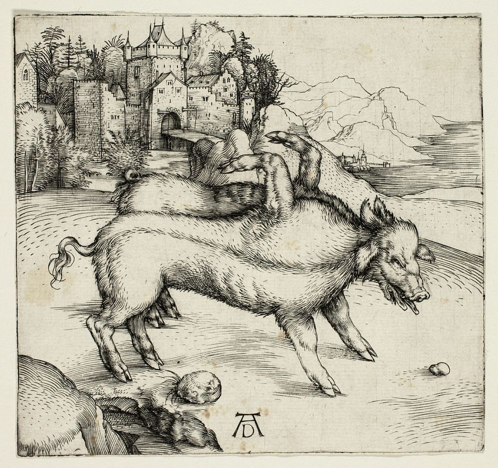 The Monstrous Sow of Landser by Albrecht Dürer