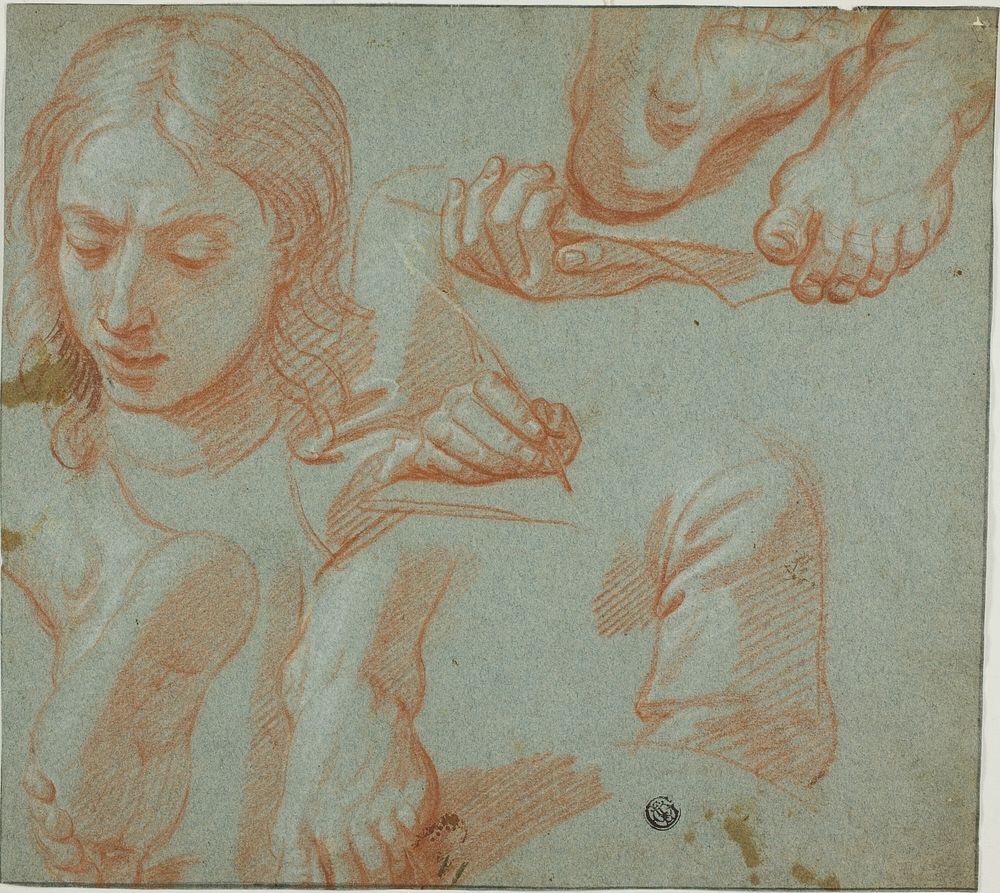 Sketches of Head, Hands, Shoulder, and Feet by Style of Agostino Masucci