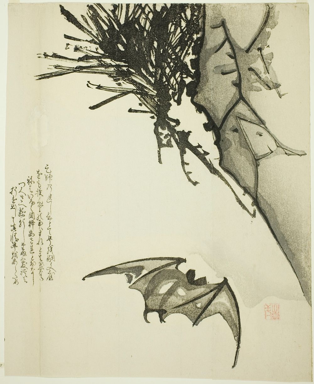 A Bat Flying near a Pine Tree by Issho