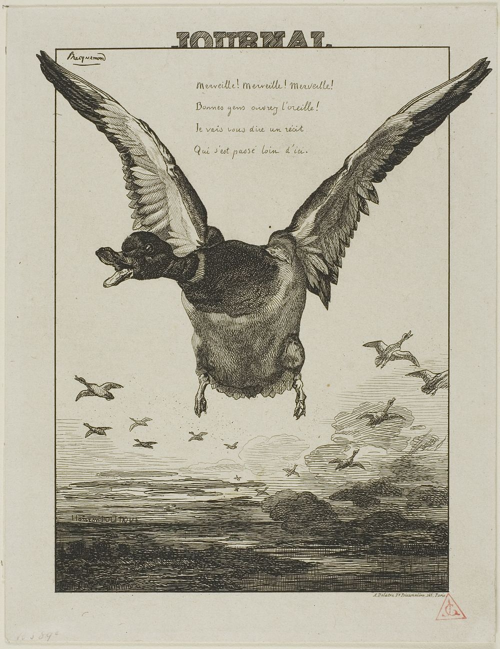 The Duck by Félix Henri Bracquemond