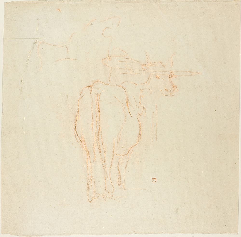 Standing Cattle by Charles François Daubigny