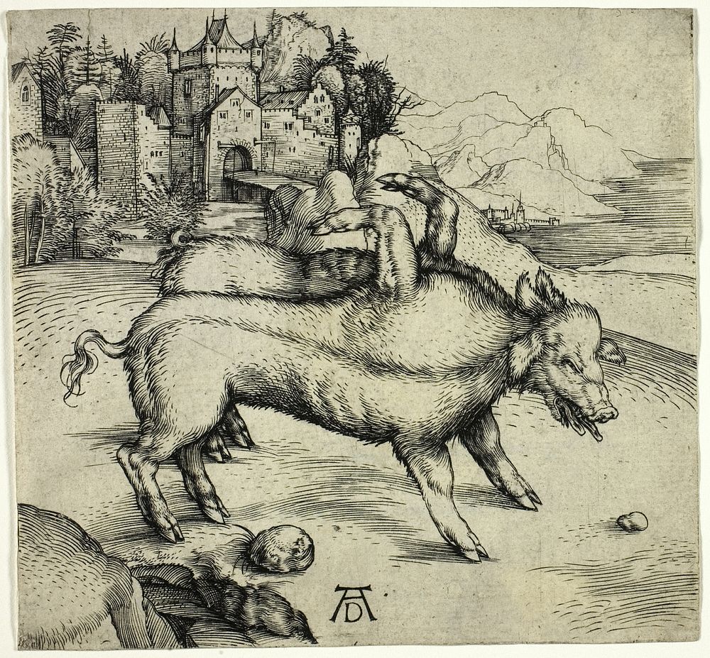 The Monstrous Sow of Landser by Albrecht Dürer