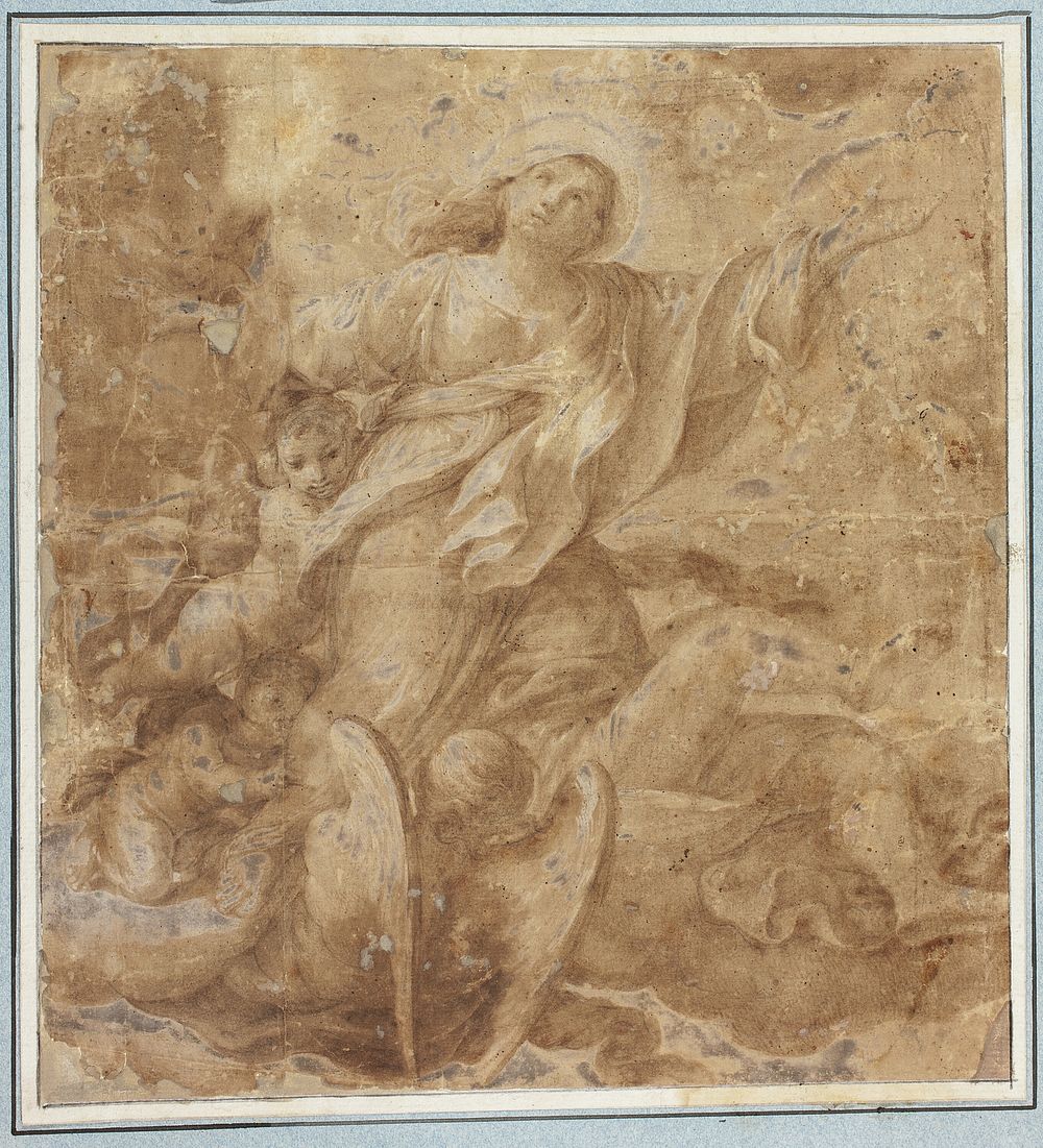 Assumption of the Virgin by Domenico Maria Canuti