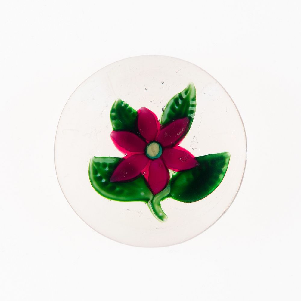 Paperweight by Compagnie de Saint Louis