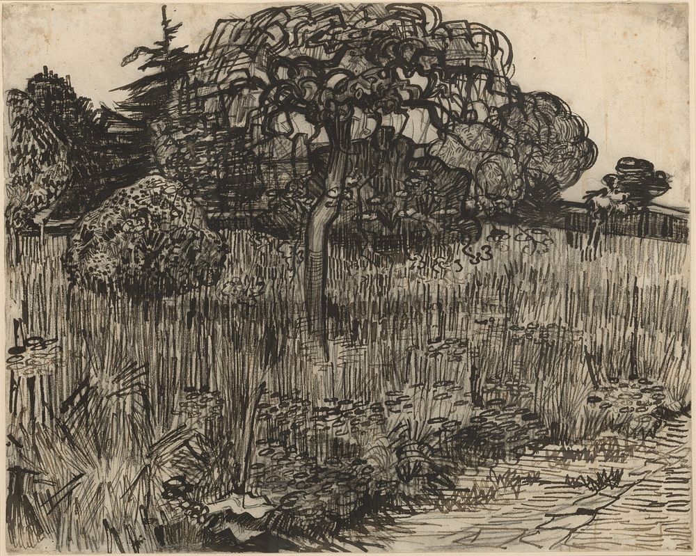 Weeping Tree by Vincent van Gogh