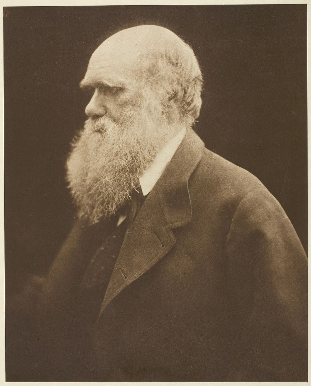 Charles Darwin by Julia Margaret Cameron