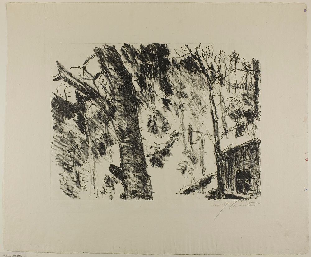 Beech Woods, from Early Spring in the Mountains by Lovis Corinth