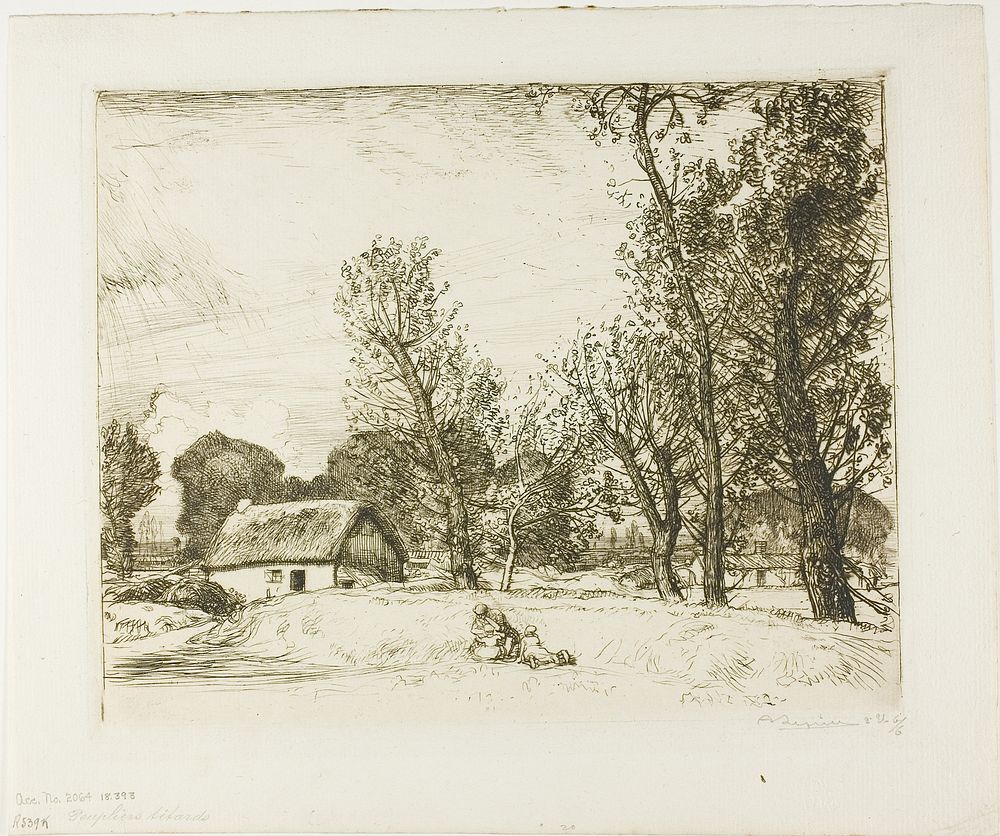 Pollard Poplars by Louis Auguste Lepère