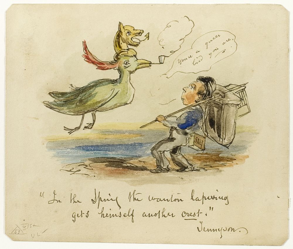 In the Spring the Wanton Lapwing gets himself another Crest by George Cruikshank