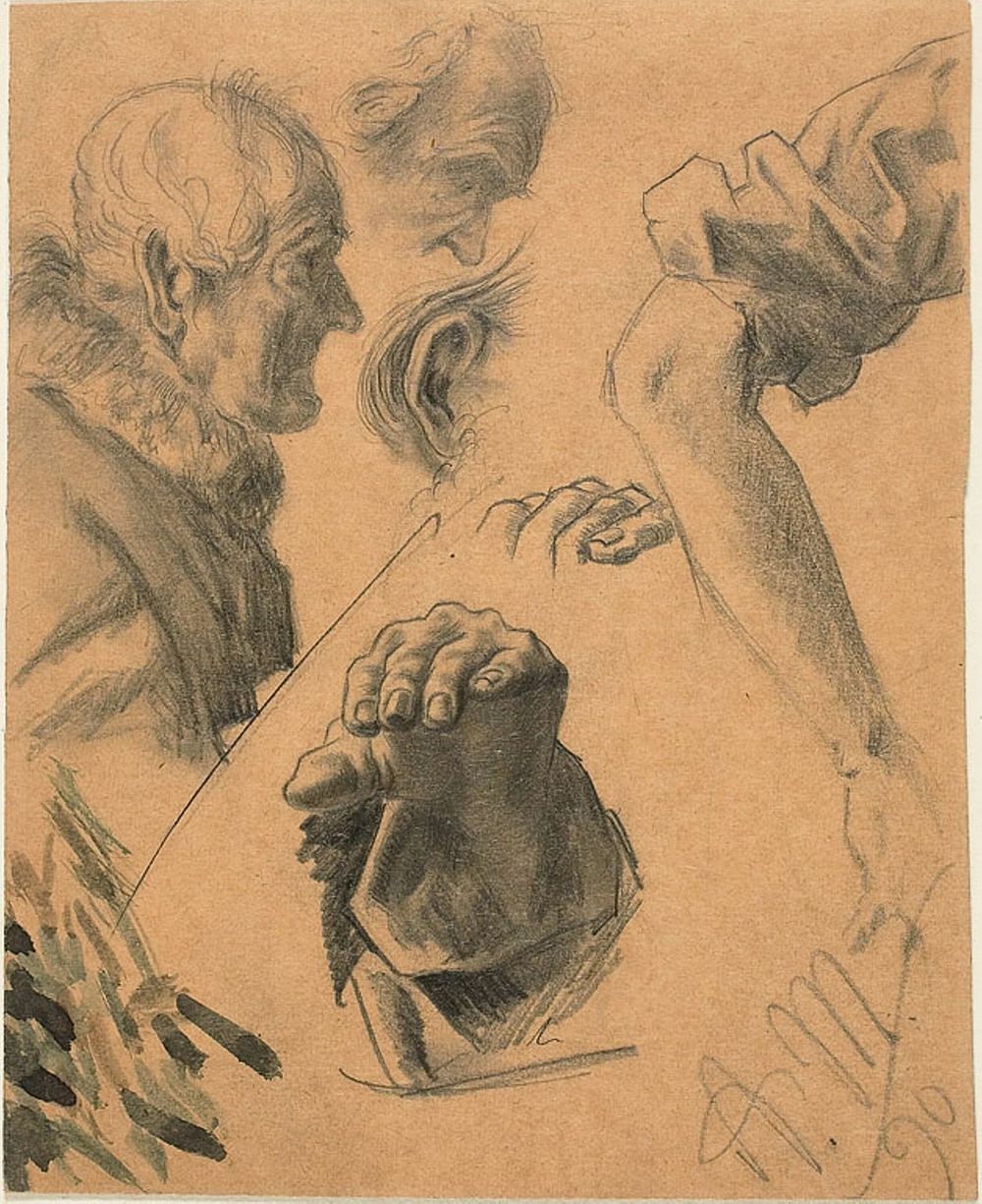 Sketches of Hands, Arms, and Heads by Adolph Friedrich Erdmann von Menzel