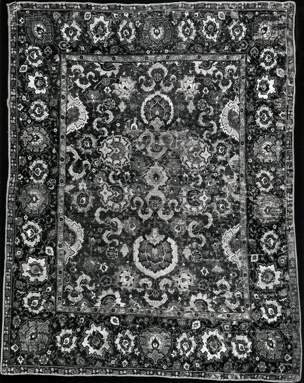 Carpet