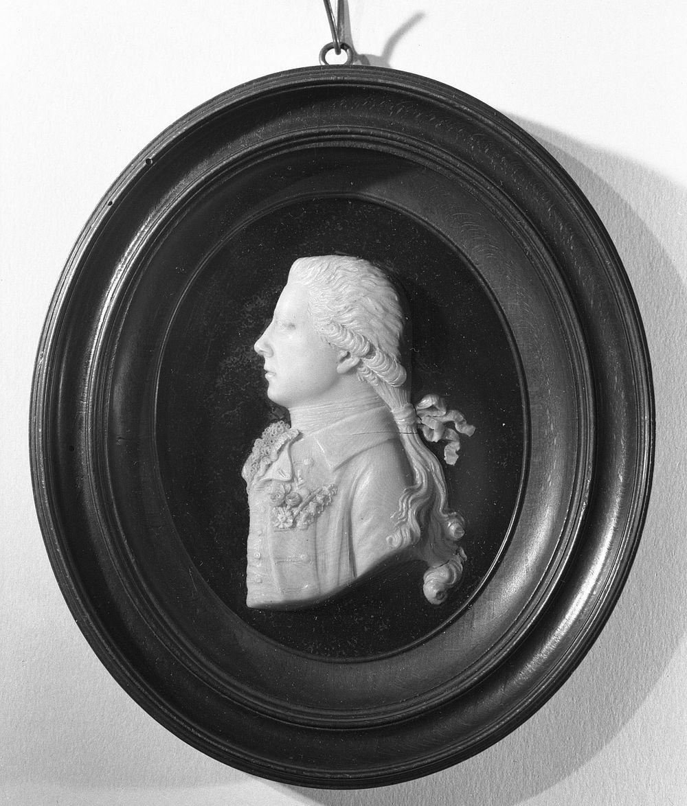 Sir Joseph Banks by Anne Seymour Damer