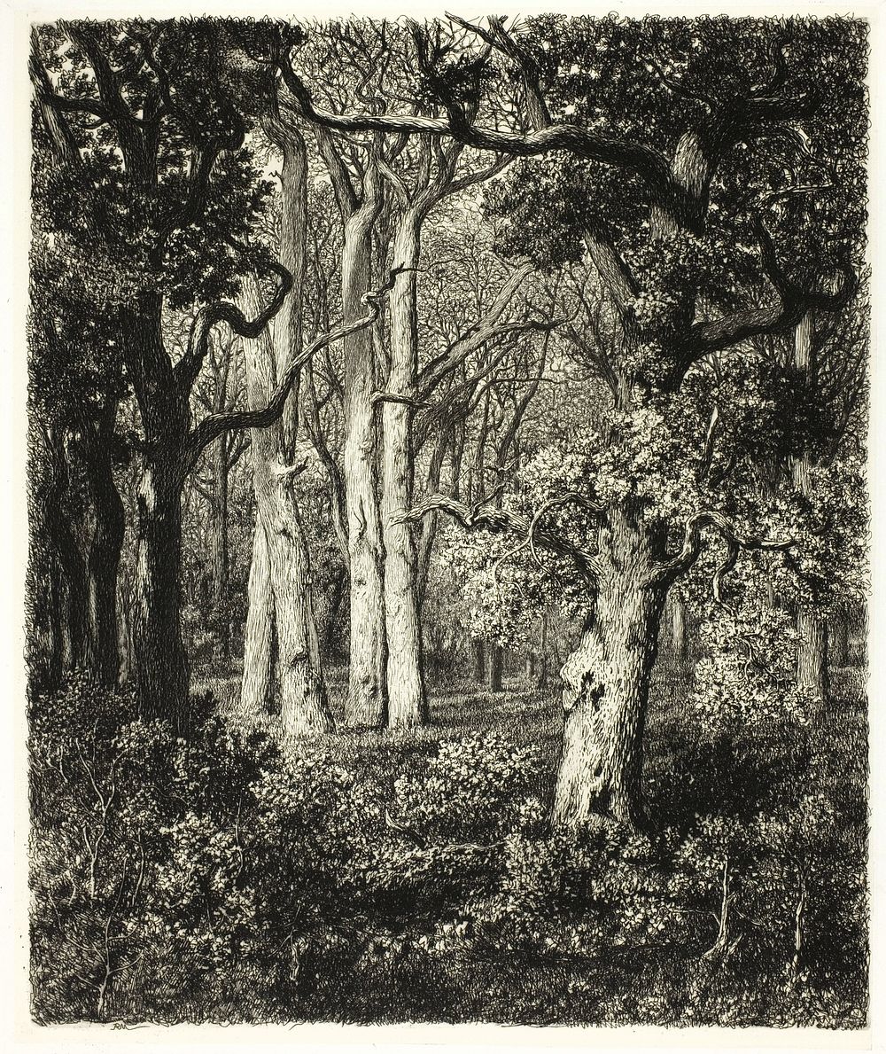 Old Oaks at Bas Bréau by Adolphe Martial Potémont