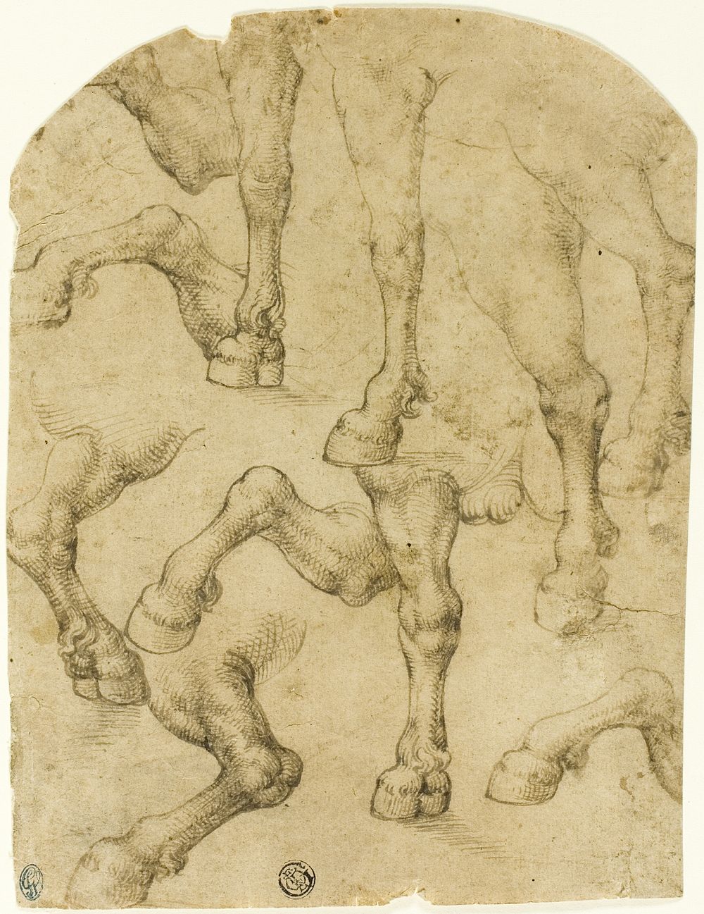 Sketches of Horses' (or Dromedaries') Legs (recto); Columns (verso) by Follower of Leonardo da Vinci