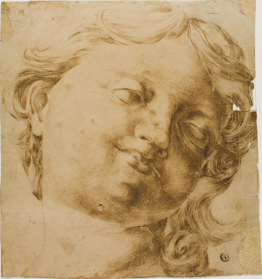 Head of a Child by Domenico Peruzzini
