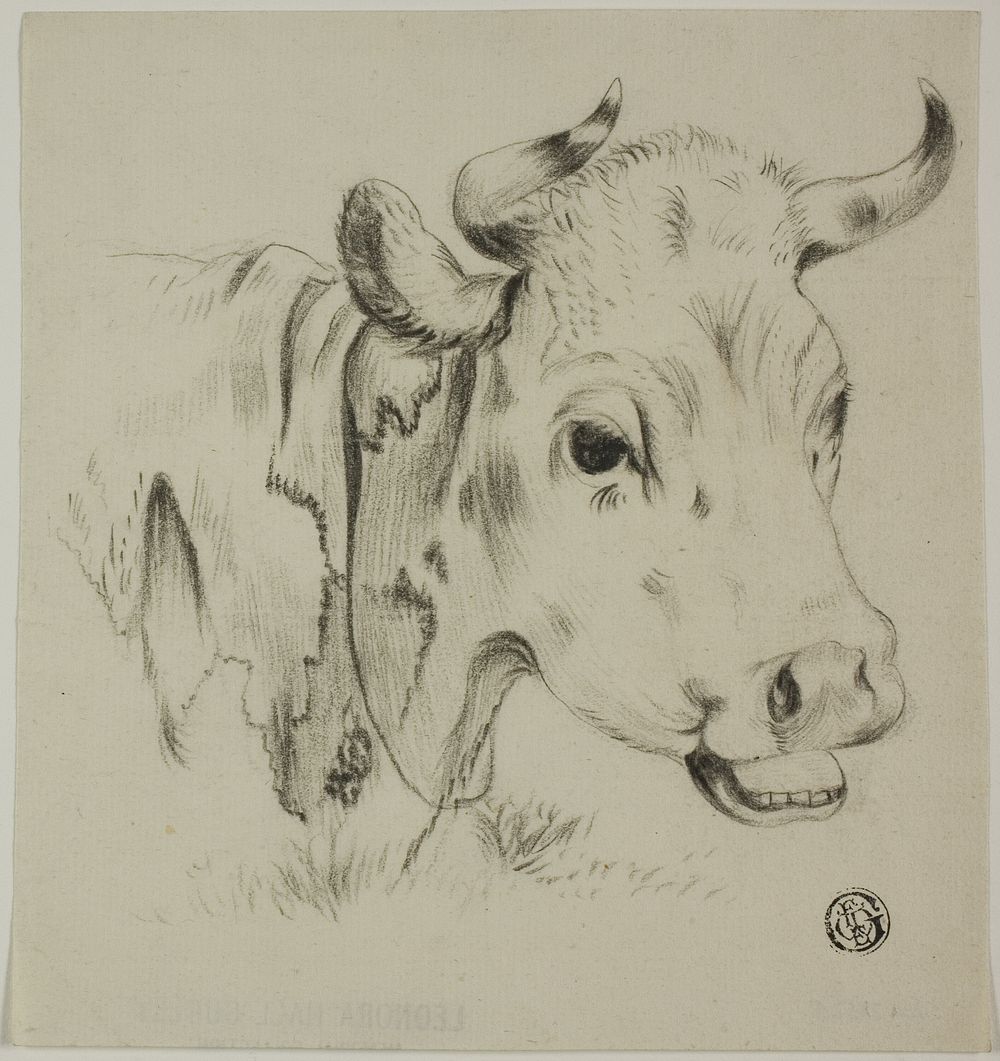 Cow's Head by Unknown artist