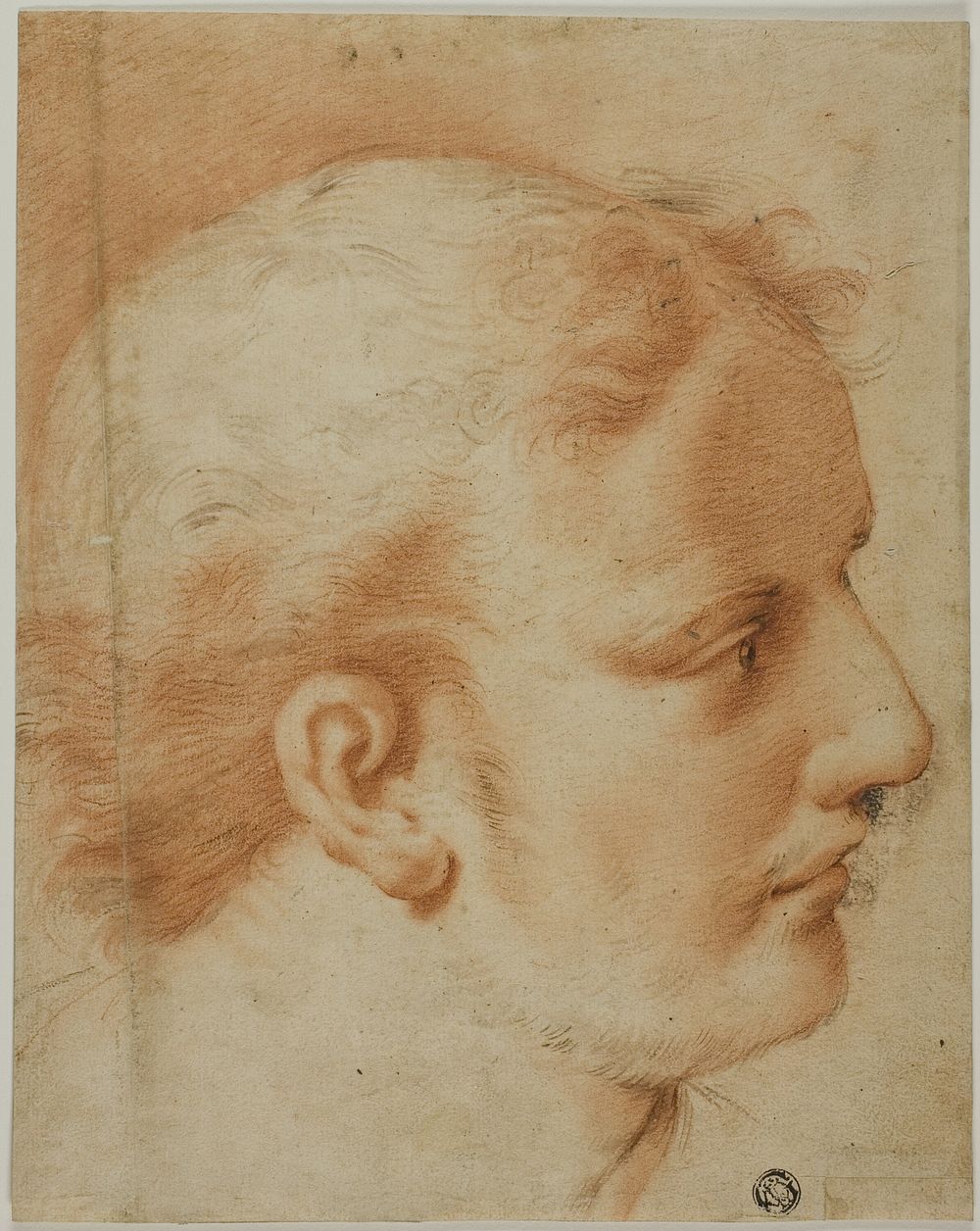 Head of Young Man, in Profile to Right by Style of Benedetto Luti
