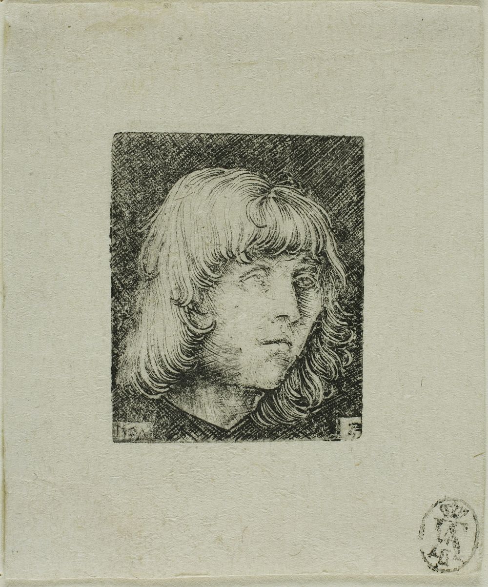 Head of a Young Man by Albrecht Altdorfer