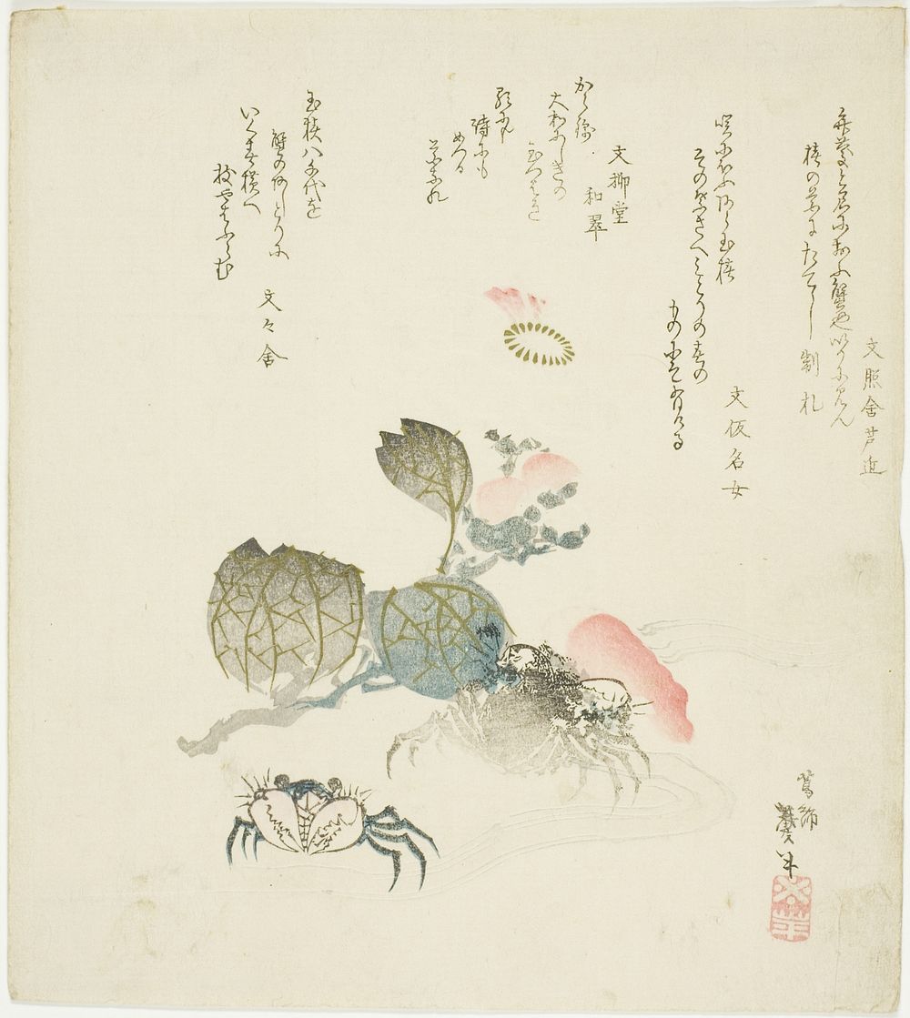Two crabs by a spray of camellia by Katsushika Taito II