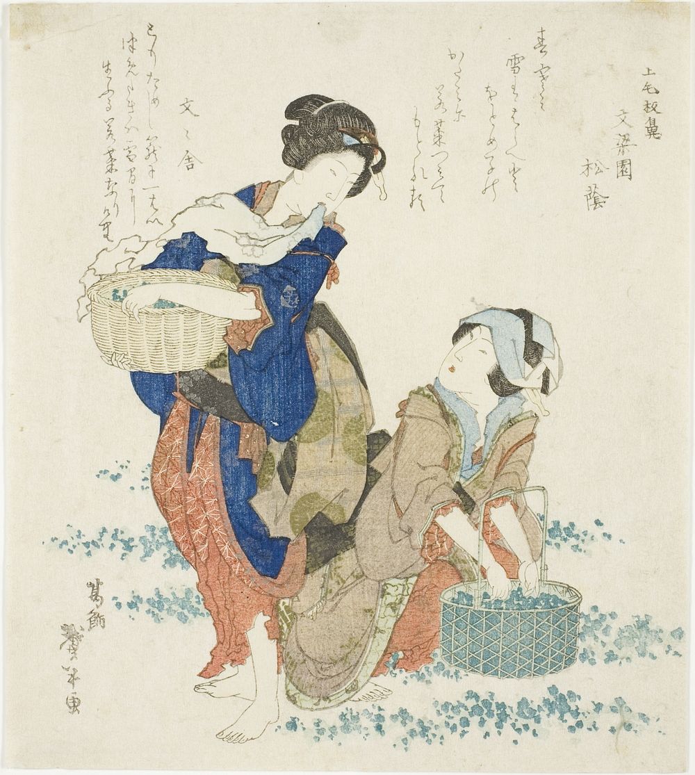 Two women gathering herbs by Katsushika Taito II