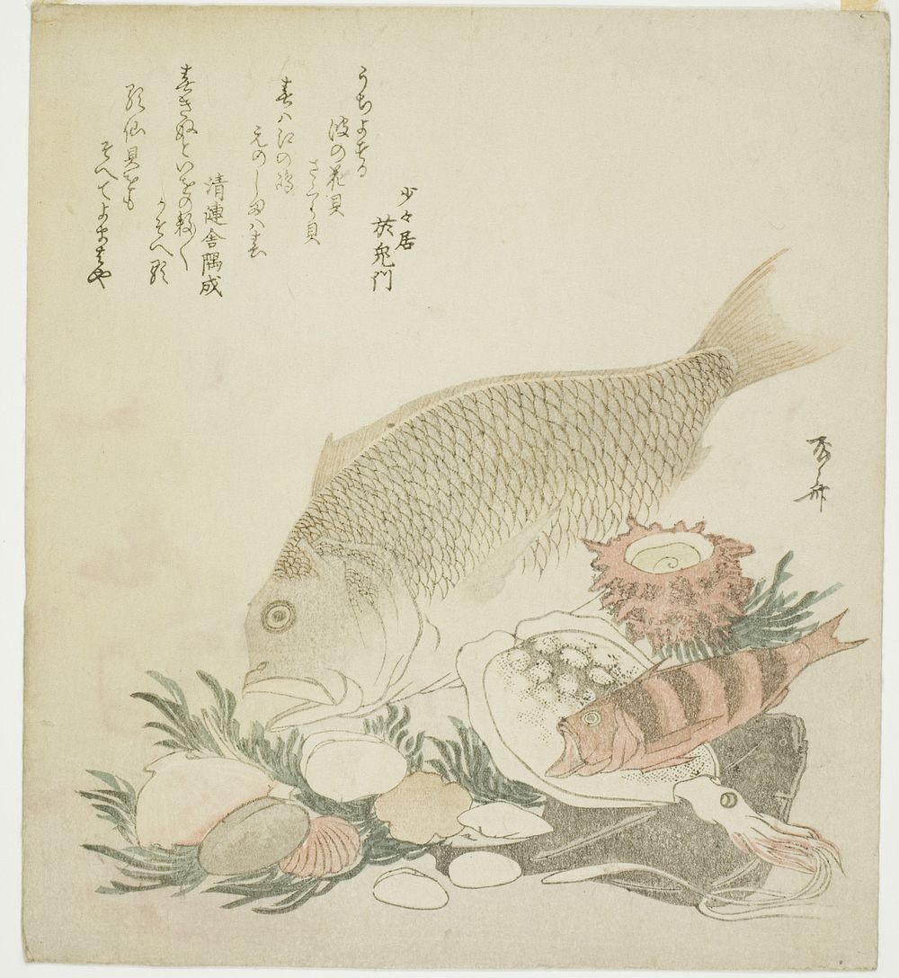 Fish and shells by Ryuryukyo Shinsai