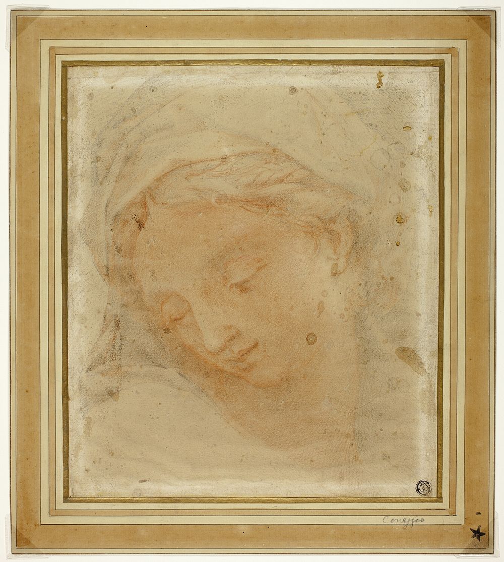 Woman's Head by Antonio da Correggio