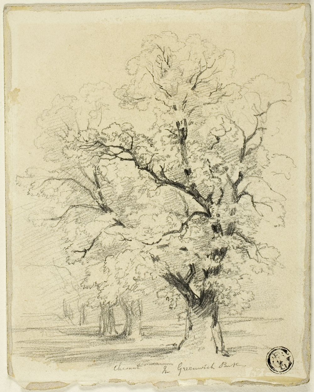 Ches[t]nut in Greenwich Park by Thomas Creswick