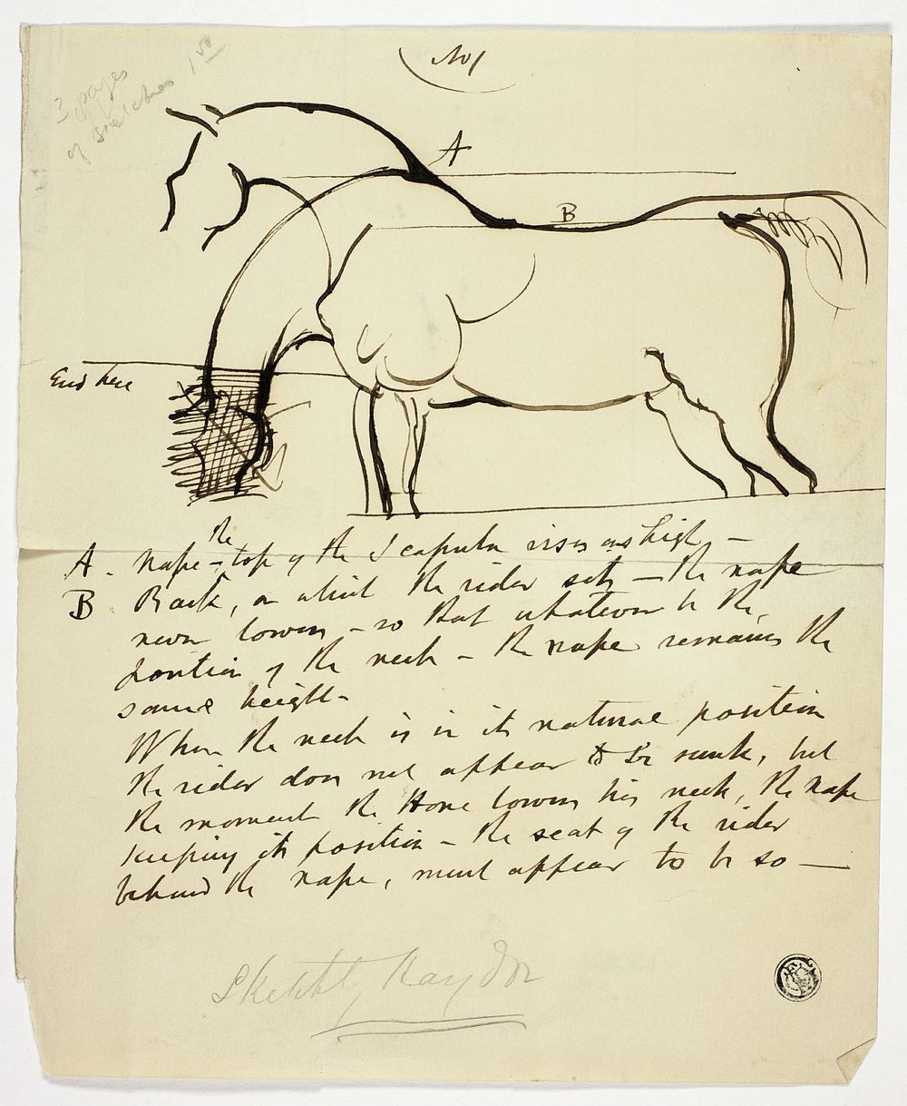 Sketch of Horse with Notations by Benjamin Robert Haydon