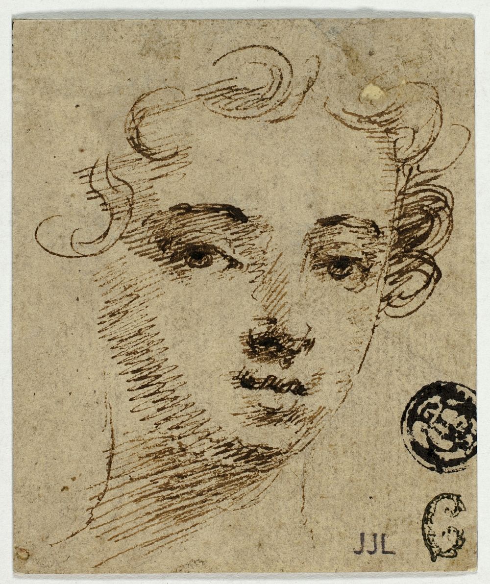 Head of Young Woman by Sir Peter Lely (Artist (original))