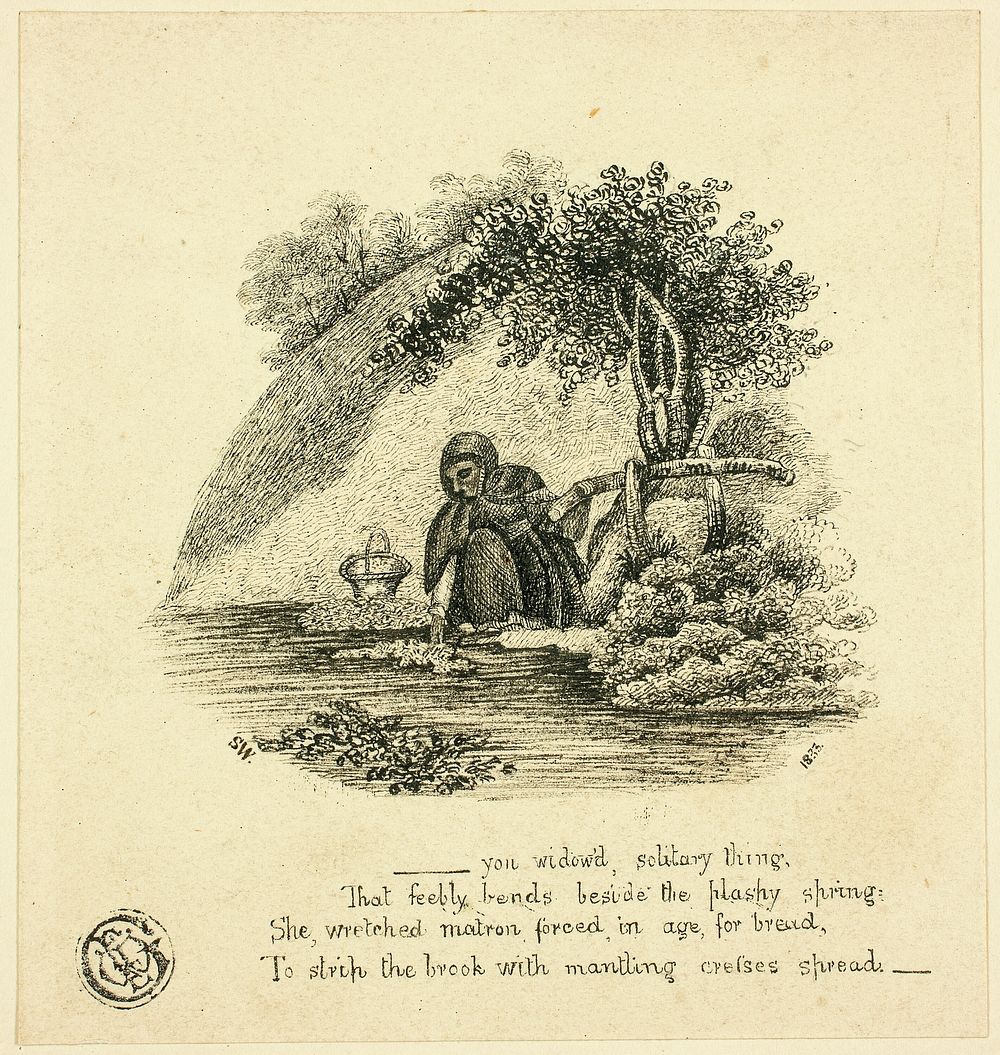...You Widow'd Solitary Thing by Thomas Bewick