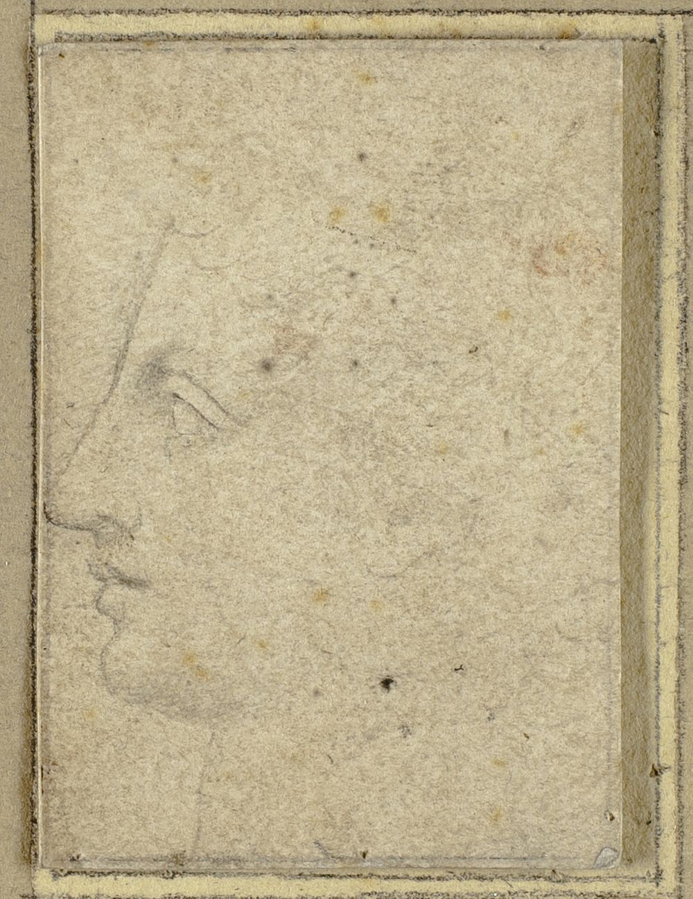 Head of a Youth in Profile to Left by Unknown Milanese