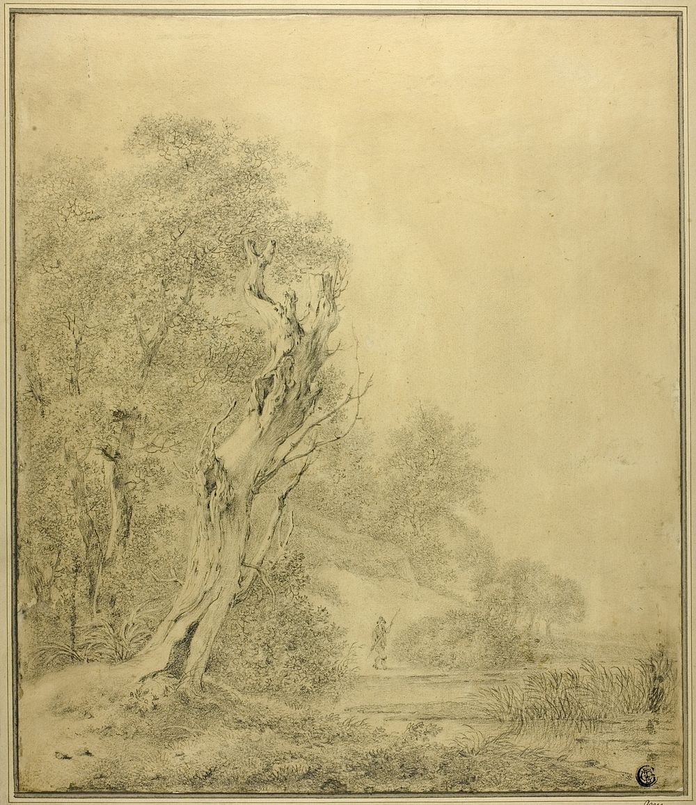Dead Tree at Water's Edge, Figure Approaching with Pole by Jacob van Ruisdael