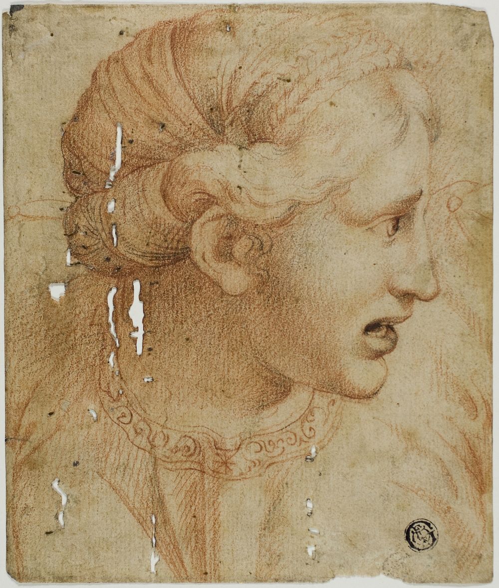 Female Head in Profile, Facing Right by Workshop of Raphael